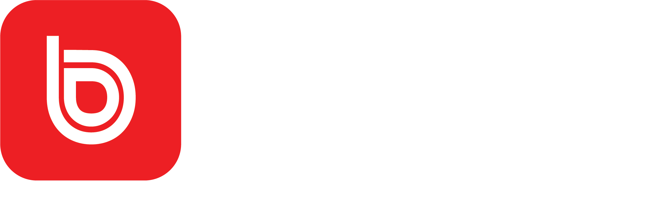 Logo Products BIZAPP (v2)(White)
